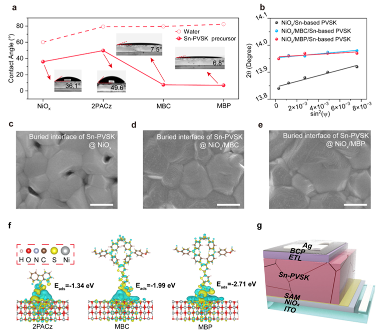 图1.‘双层空穴传输层’诱导高质量锡基钙钛矿薄膜